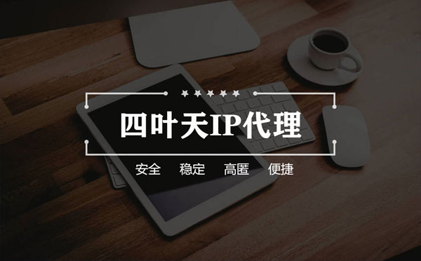 【衡水代理IP】如何快速搭建代理IP？怎么检查代理的效果？